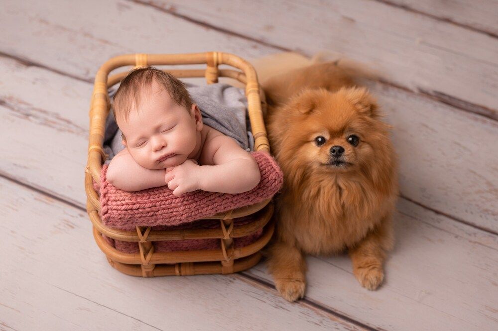 Photograph by Татьяна Тарасенко