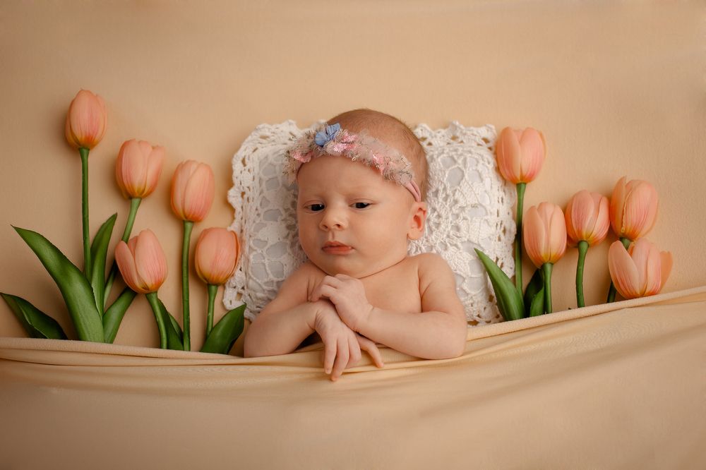 Фотография автора Ксения Хапугина