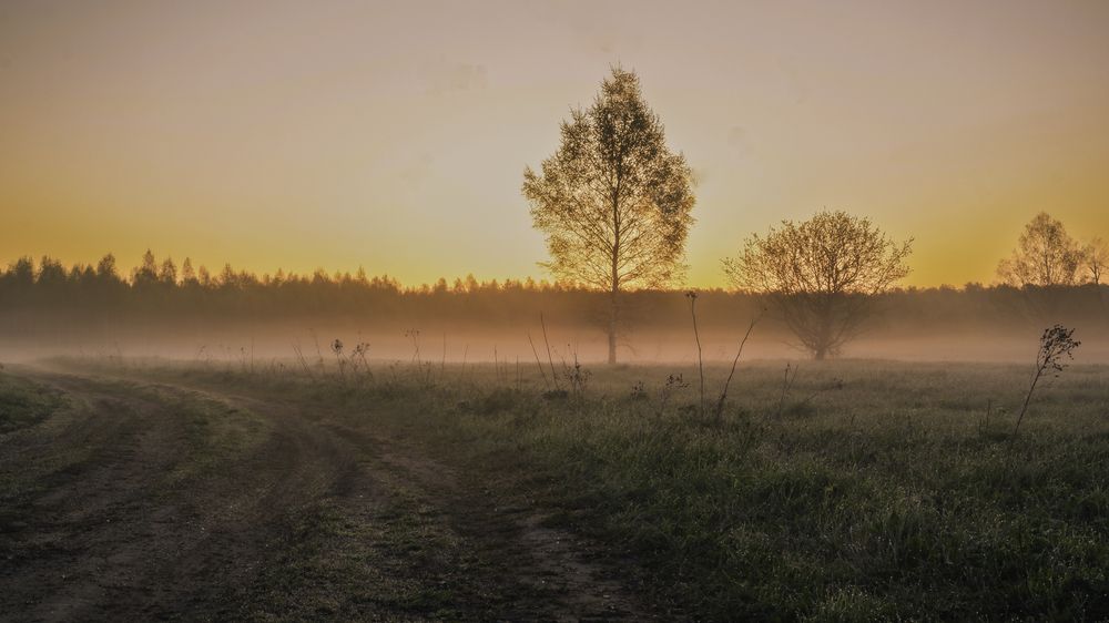 Фотография автора Медведева Елена