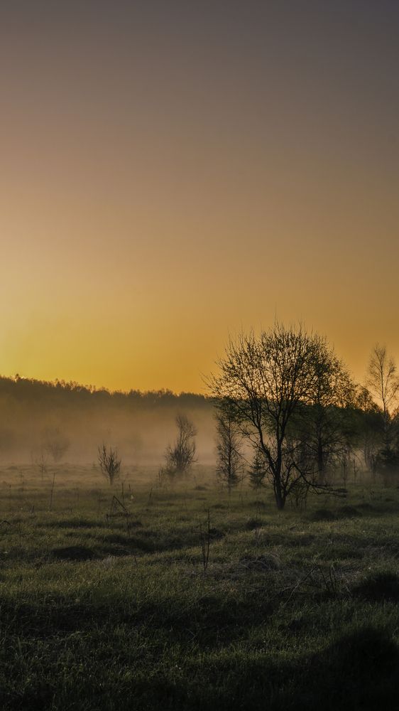 Фотография автора Медведева Елена