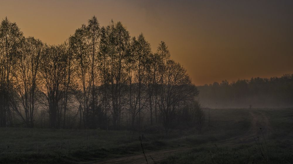 Фотография автора Медведева Елена