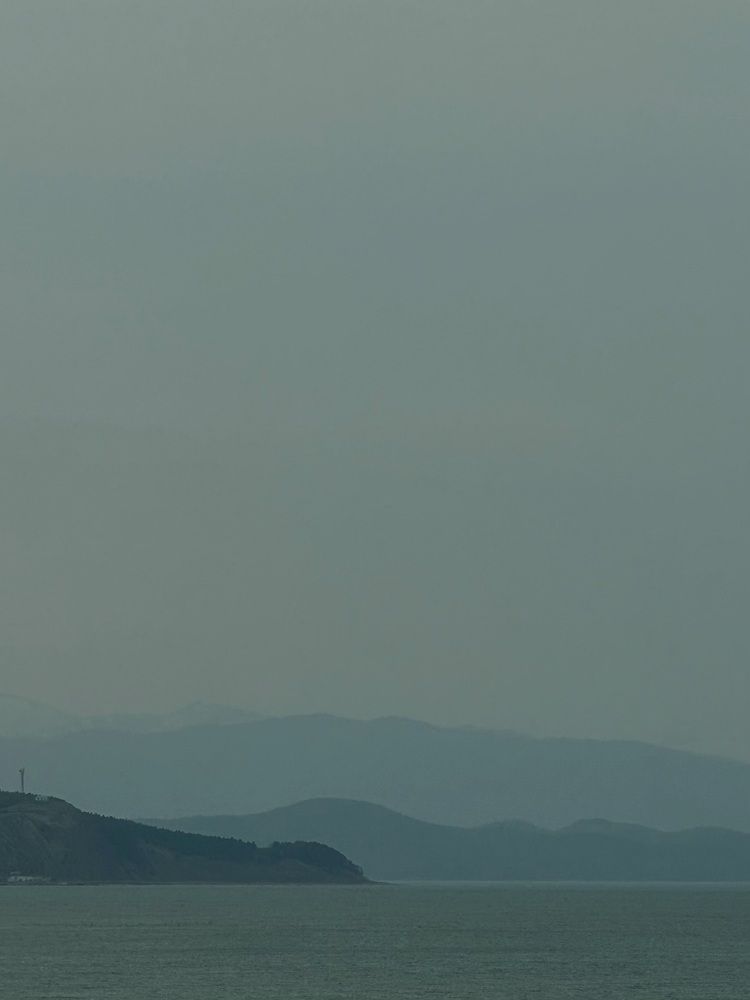 Фотография автора Елена Меньшикова