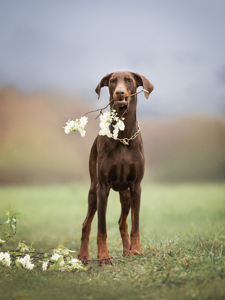 Photograph by Мария Клещенко