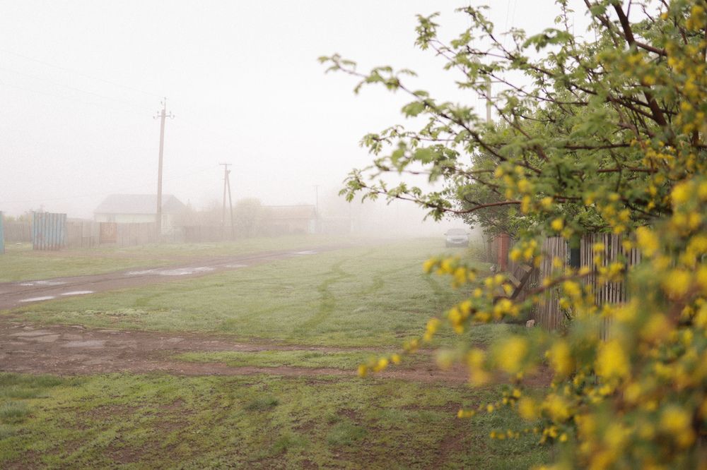 Photograph by Ольга Агафонова