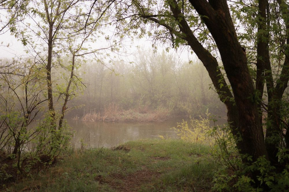 Photograph by Ольга Агафонова