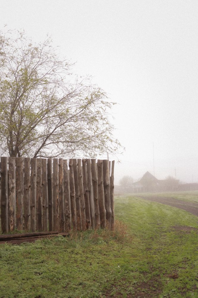 Photograph by Ольга Агафонова