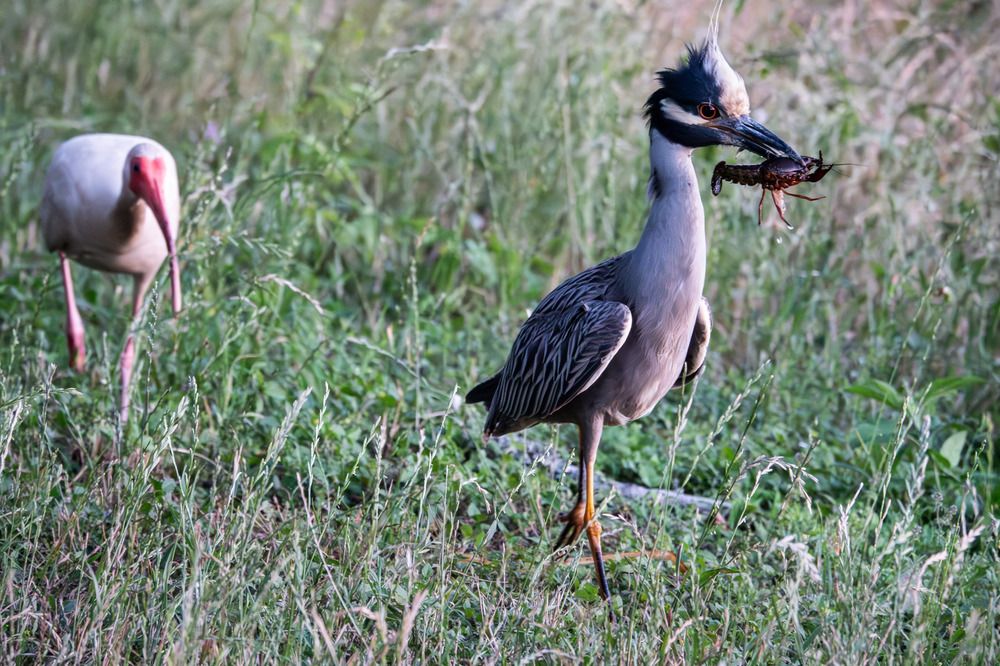 Photograph by Анатолий Костерев