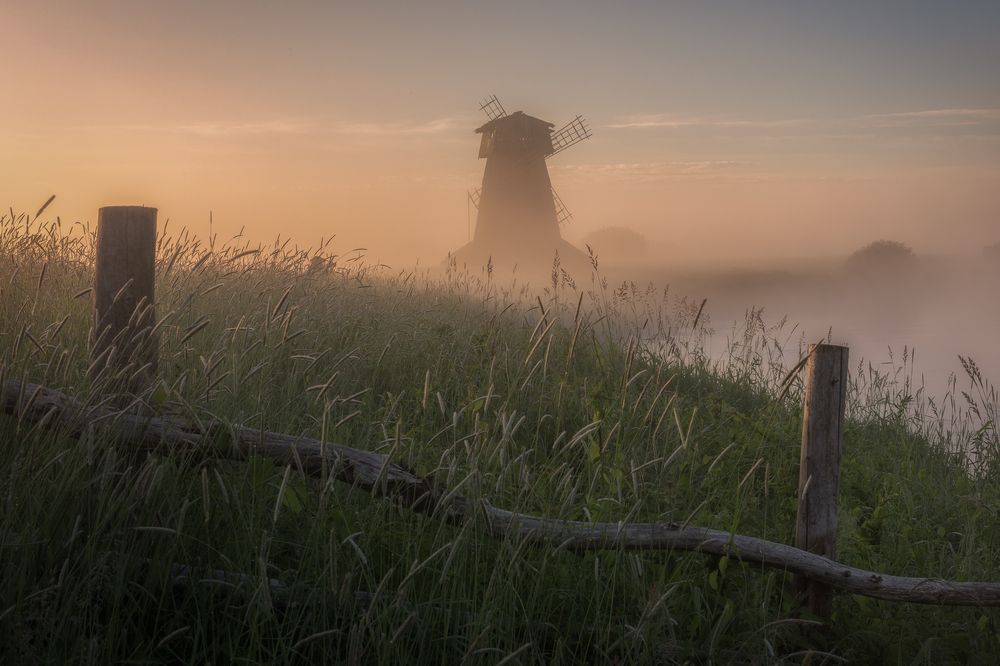 Photograph by Гусева Елена