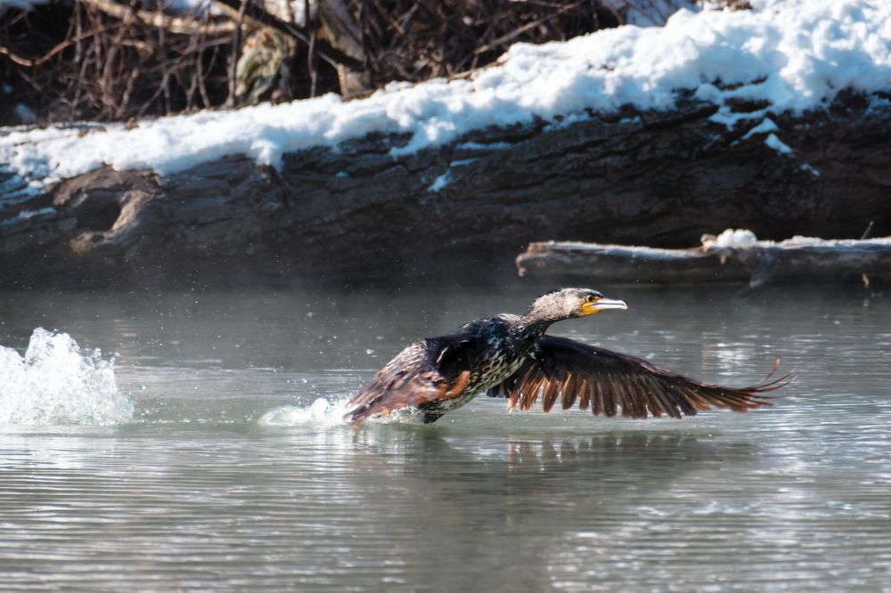 Над холодной водой