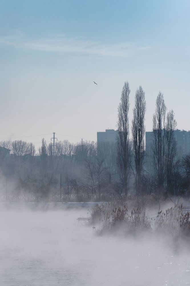 Тишина в тумане