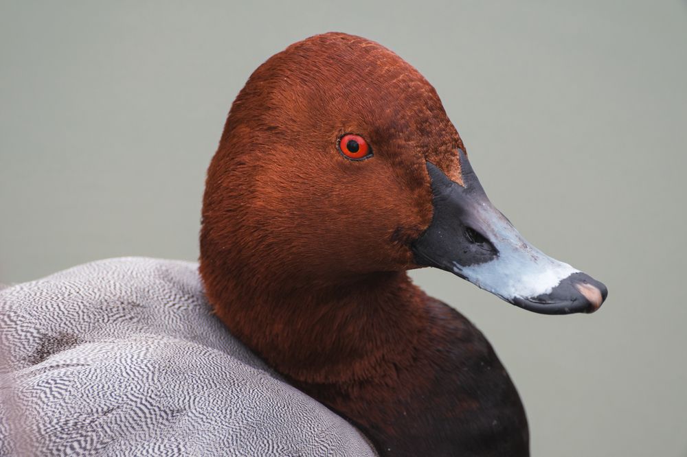 Photograph by Анастасия Богомолова