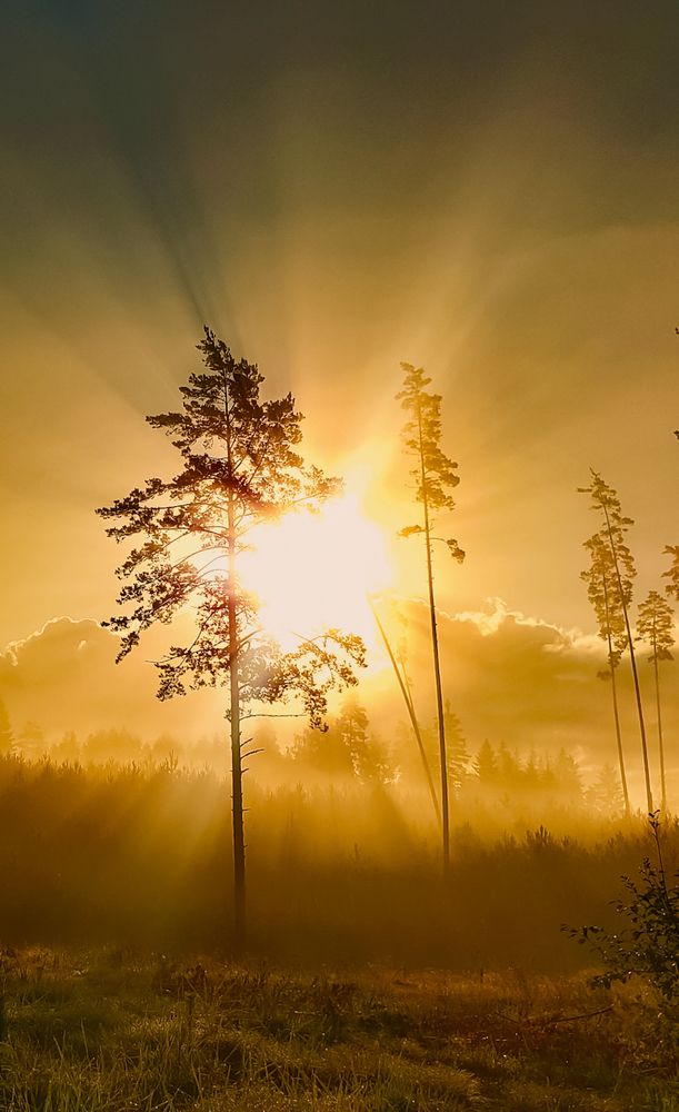 Photograph by Татьяна Шандромайло