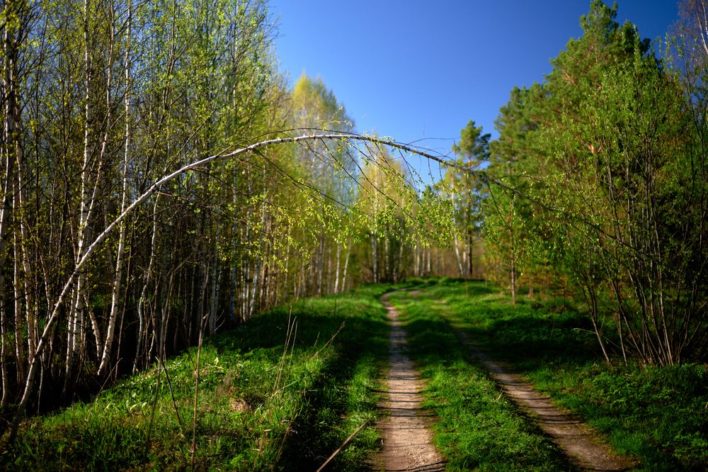 Photograph by евгений бабушкин