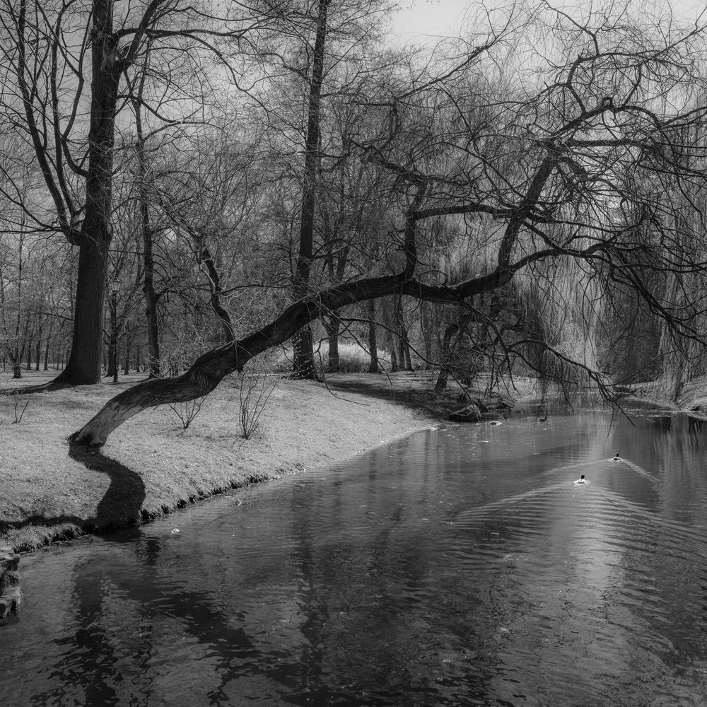 Photograph by Tomasz Dunajski