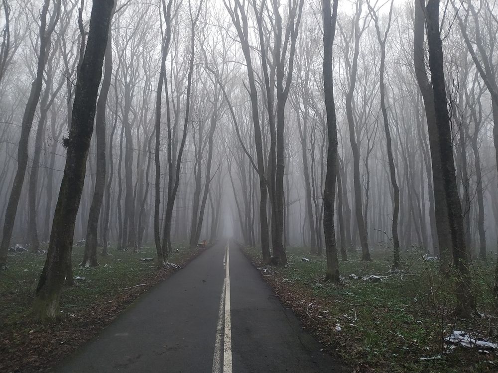 Photograph by Виталий Маслов