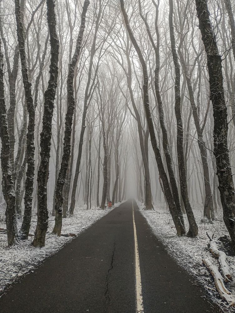 Photograph by Виталий Маслов