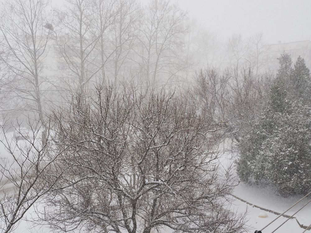 Photograph by Сергей Борисов