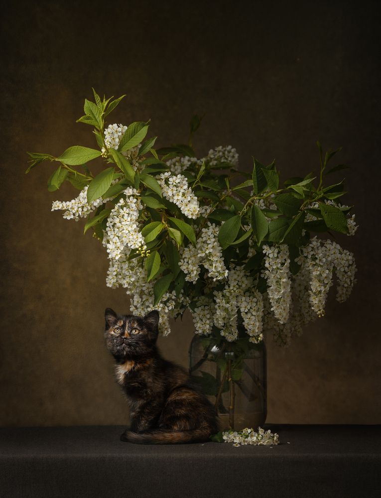 Photograph by Алла Нургалеева