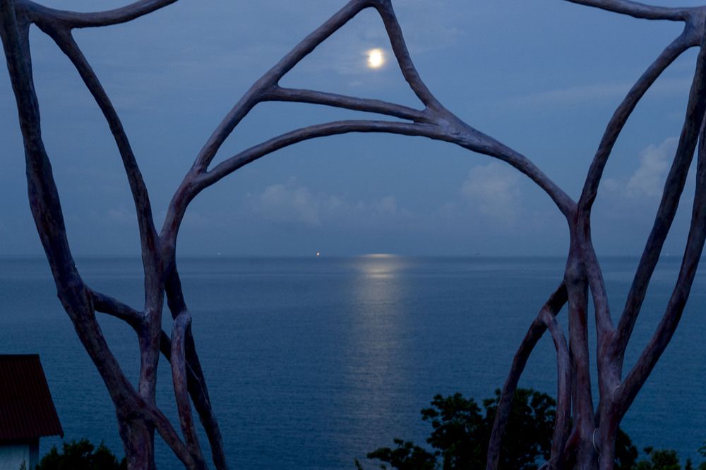 Photograph by Марина Вильдяева