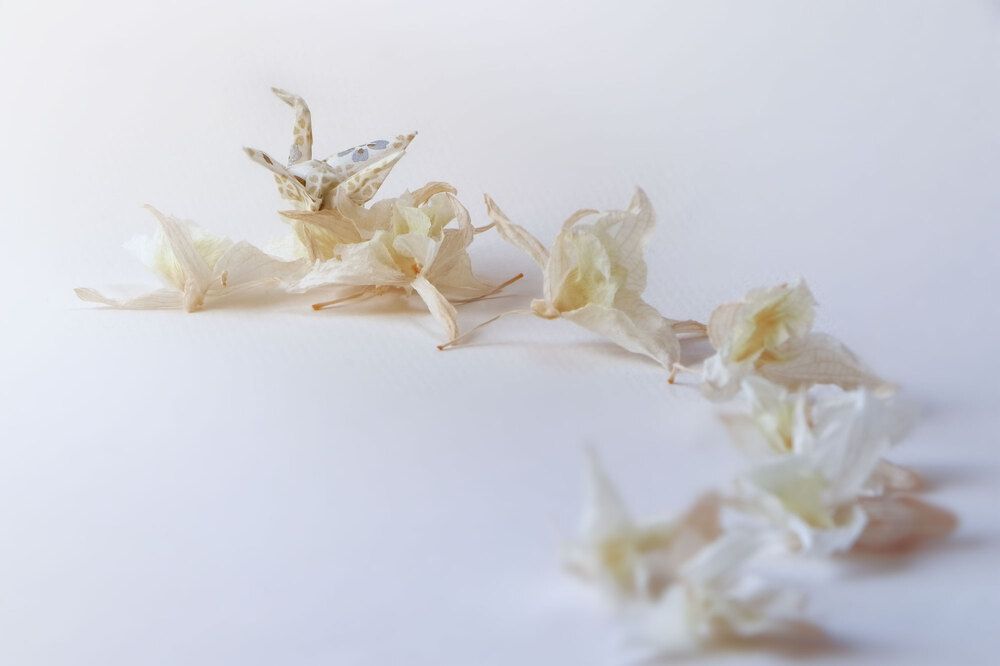 Фотография автора Светлана Долотова