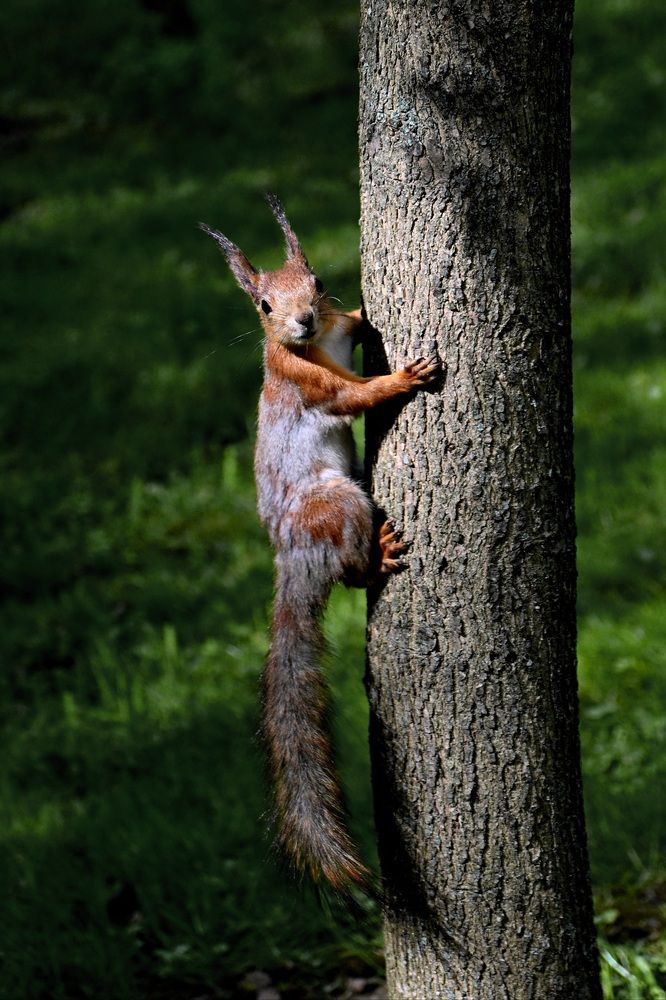 Photograph by Егор Жук