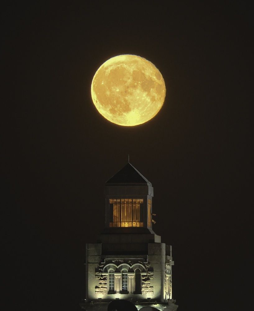 Photograph by Анастасия Алтабаева