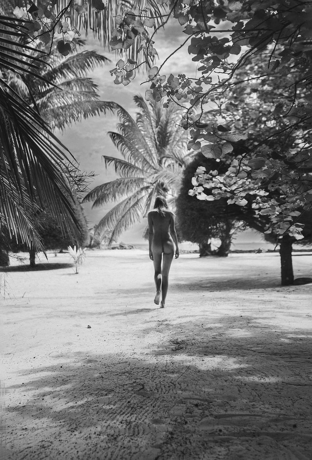 Photo #12197971