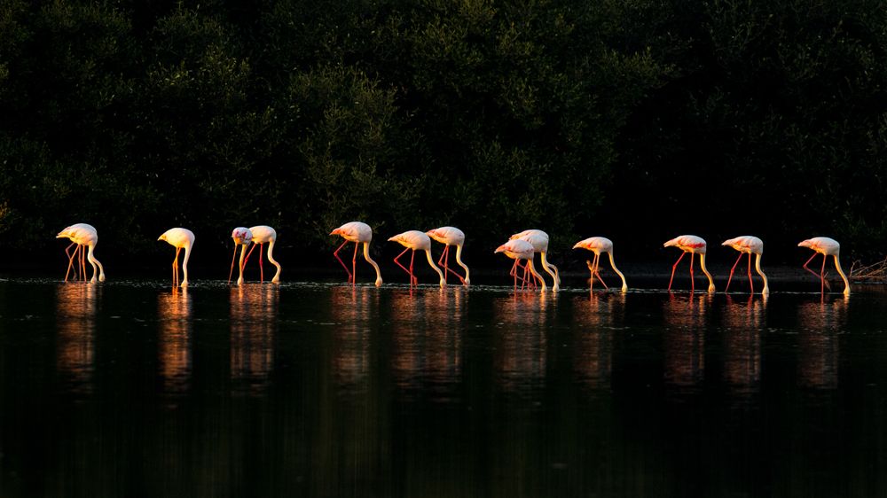 Photograph by Jayakrishnan