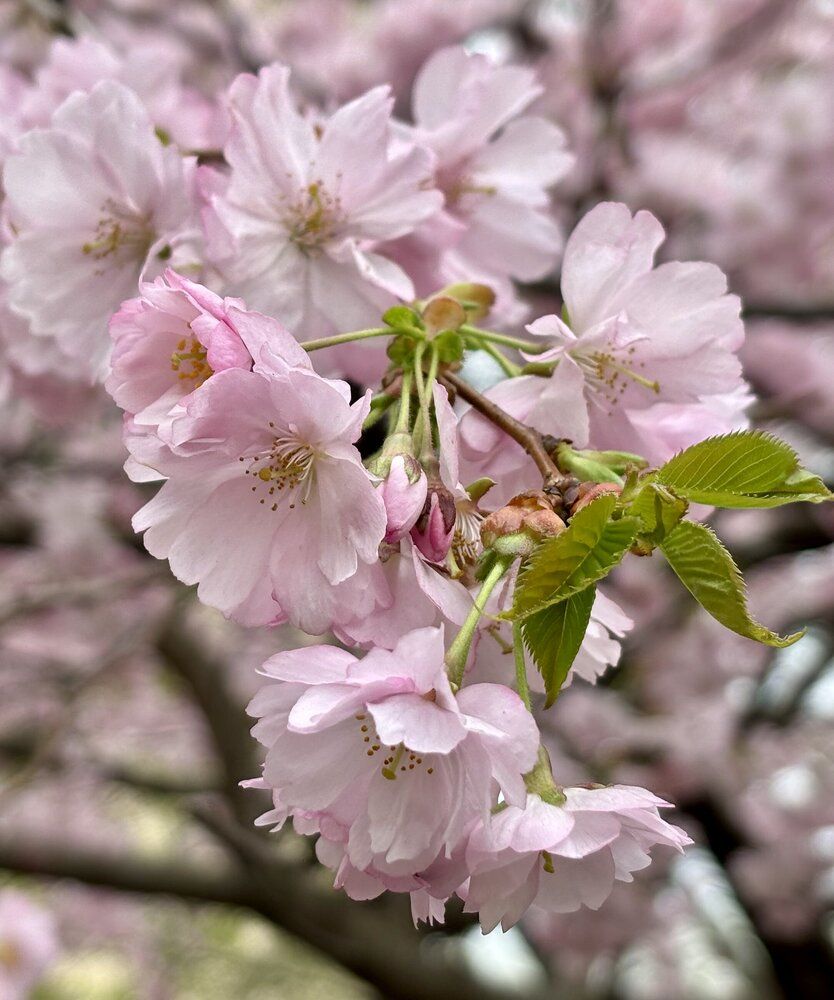 Photograph by Татьяна Смирнова