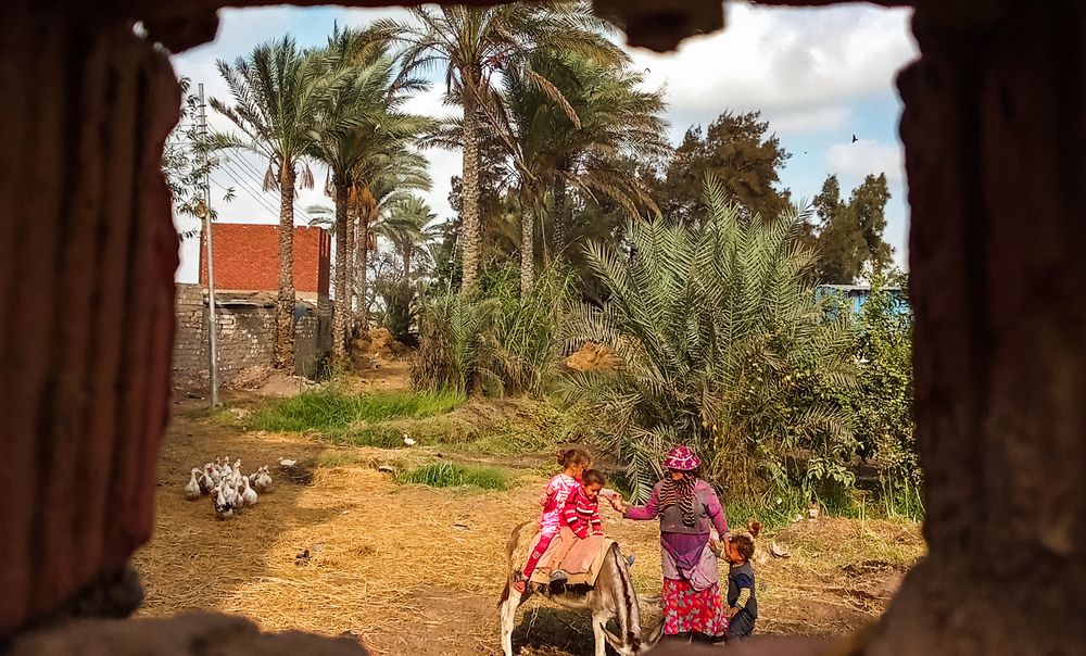 Photograph by على اشرف محمد عبد الجواد شعبان