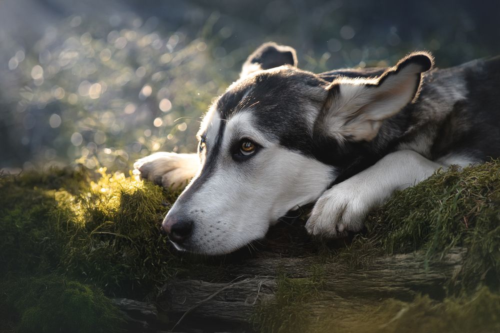 Photograph by Светлана Писарева