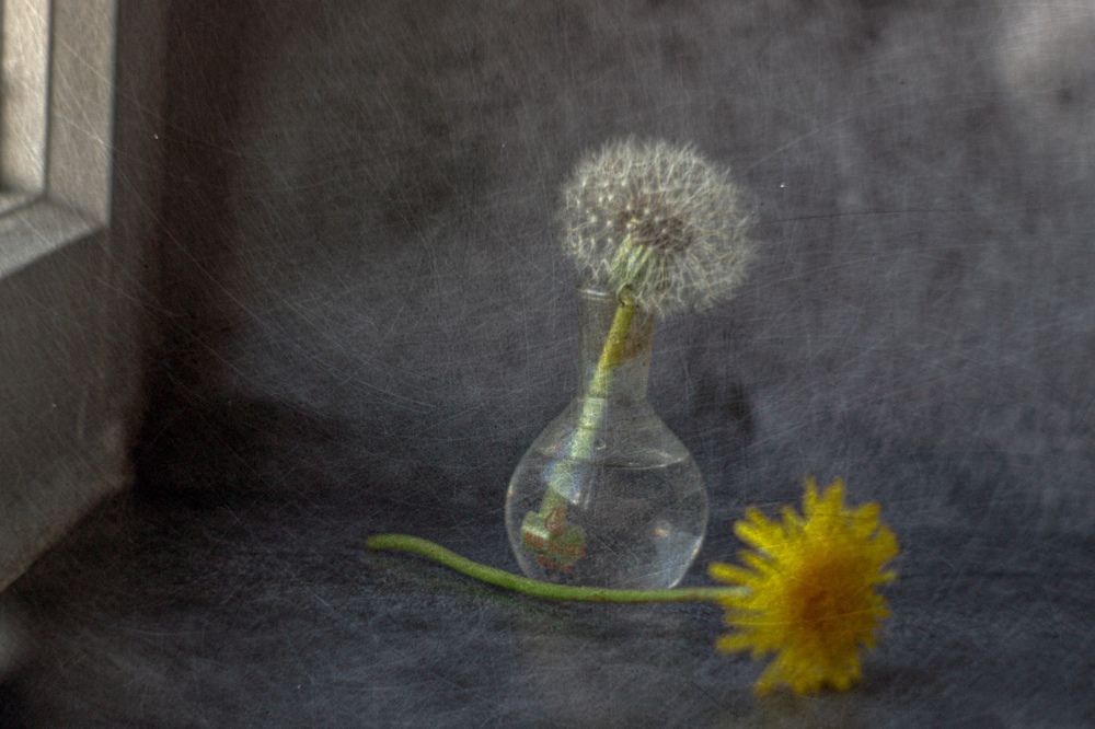 Photograph by Виталий Маслов