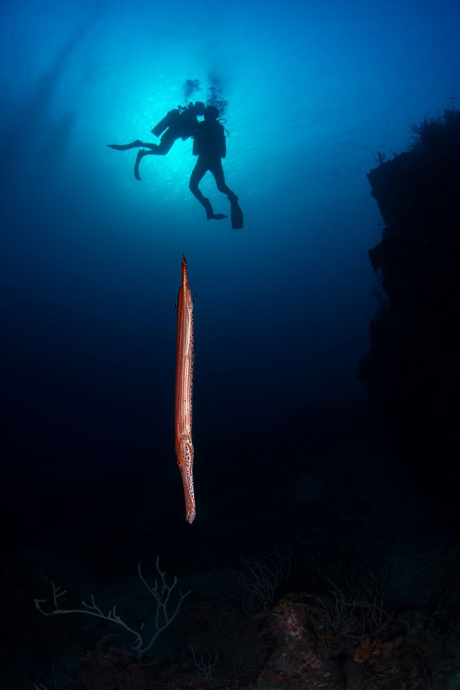 Photograph by Santiago Estrada R