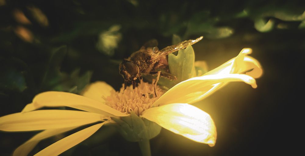 Photograph by Fernando Gabriel Castro Ortiz