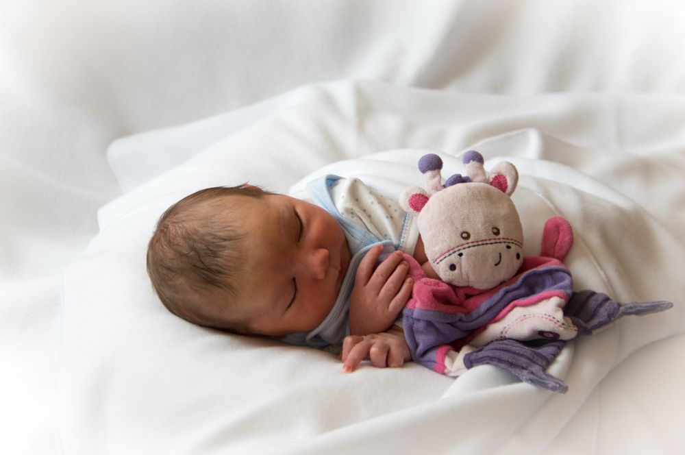 Photograph by Plamen Nikolov