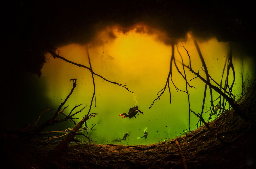 Photograph by ANTONIO RUVER BANDEIRA