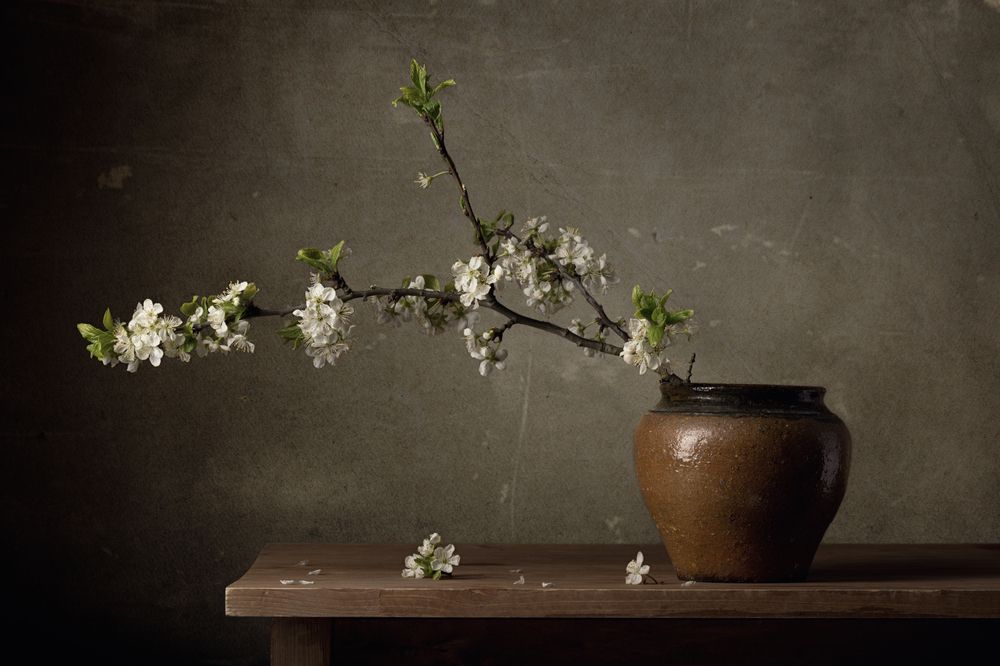 Photograph by Максим Вышарь