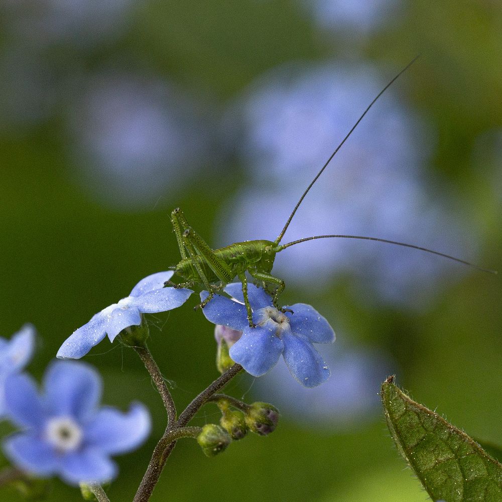 Фотография автора Анатолий Макоедов
