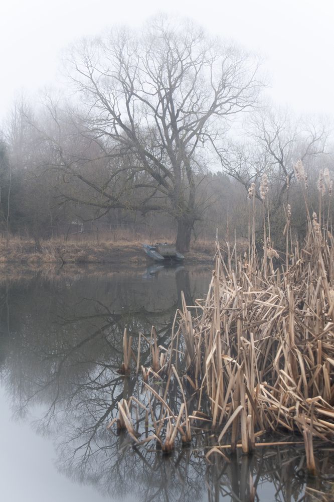 Photograph by Ольга