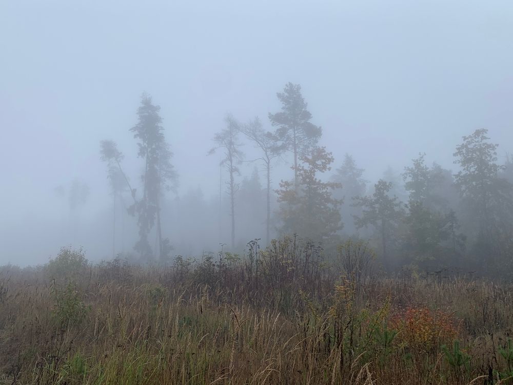 Photograph by Ионова Татьяна