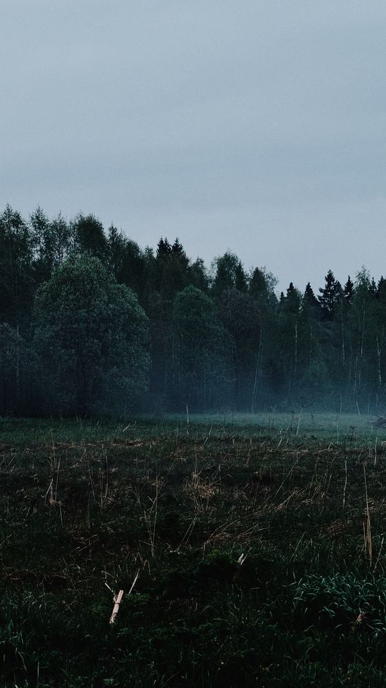 Photograph by Светлана Родионова