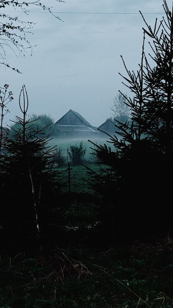 Photograph by Светлана Родионова