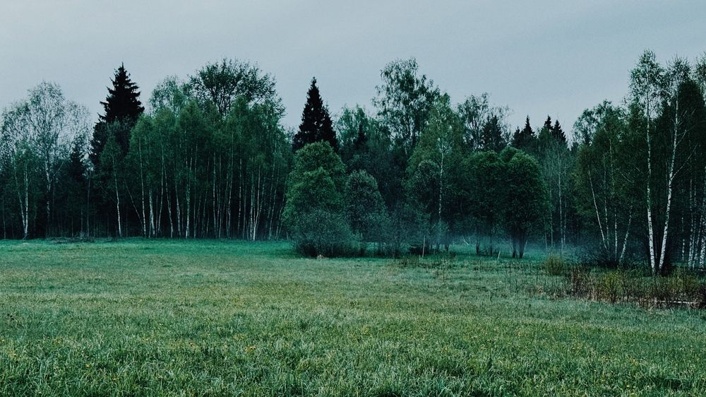 Photograph by Светлана Родионова