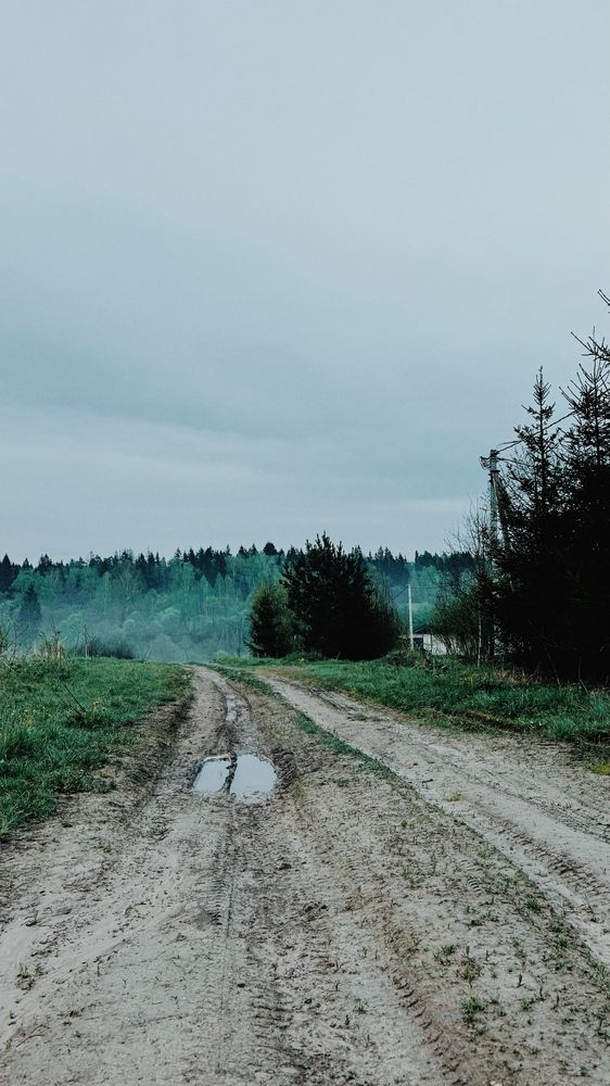 Photograph by Светлана Родионова