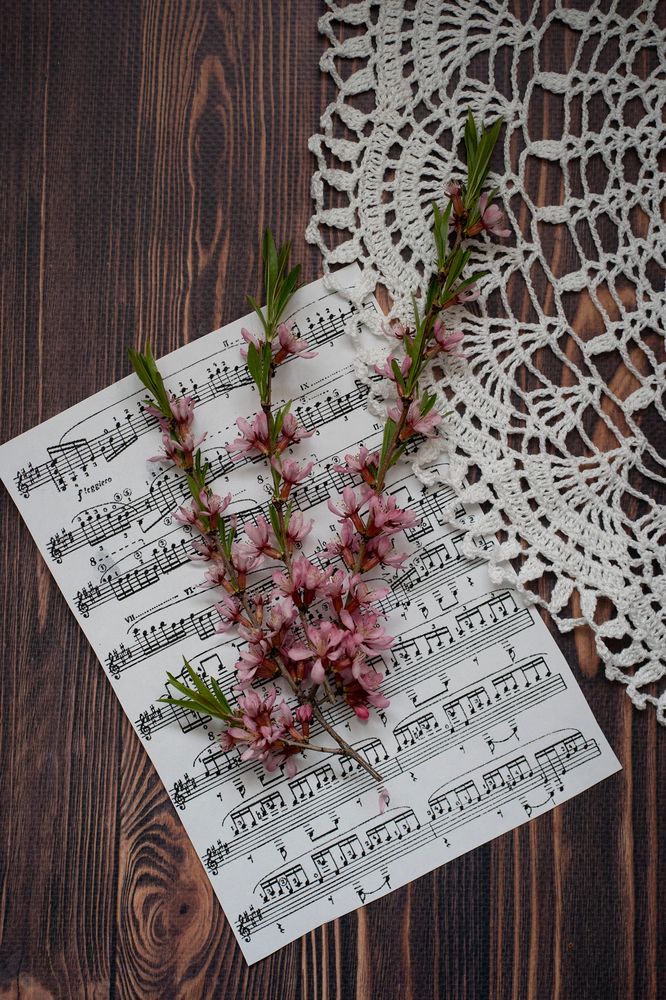 Photograph by Екатерина Одинцова