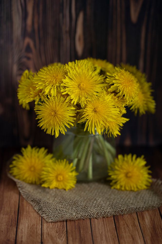 Photograph by Екатерина Одинцова