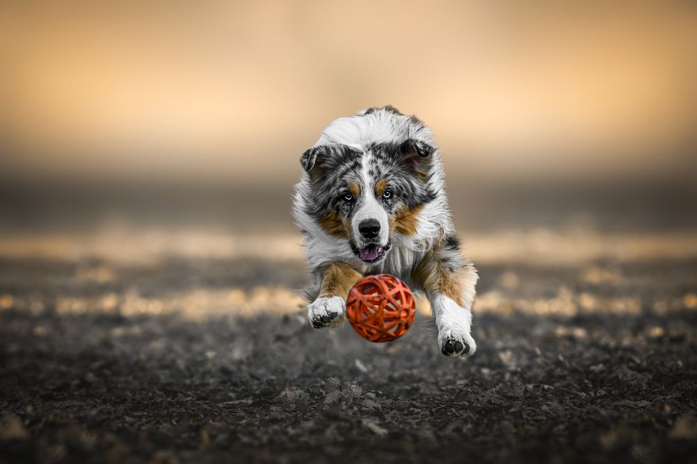 Photograph by Lucie Nermuťová