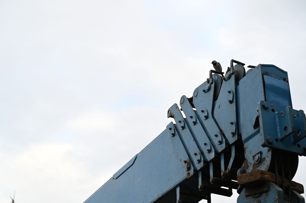 Фотография автора Роман Прохоров