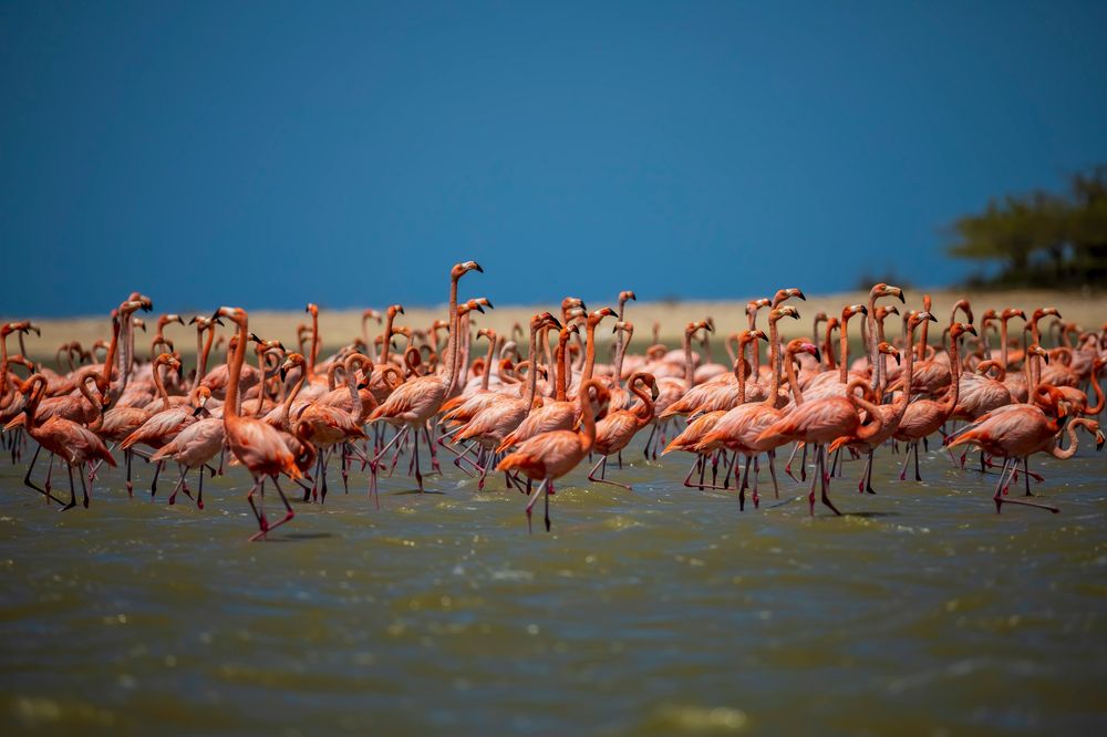Photograph by Alejandro Gutierrez