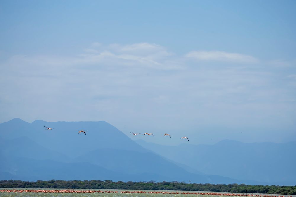 Photograph by Alejandro Gutierrez